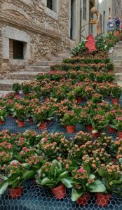 marches fete des fleurs gérone